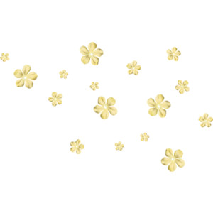 Tiny Flowers Png - Tiny Flowers (1).png, Transparent background PNG HD thumbnail