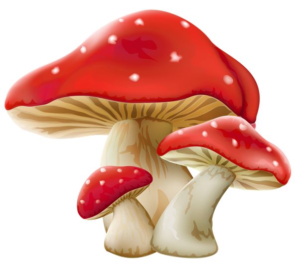 1000   Png Toadstool - Toadstool, Transparent background PNG HD thumbnail