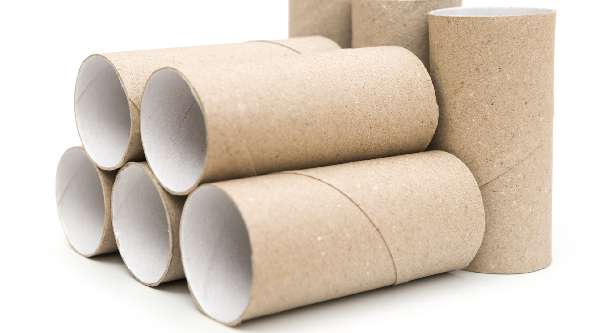 Who Knew Toilet Paper Rolls Could Be Used For Such Lovely Decor? - Toilet Paper, Transparent background PNG HD thumbnail