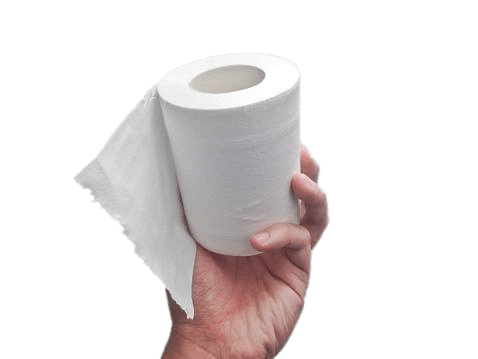 Toilet paper - A roll of toil