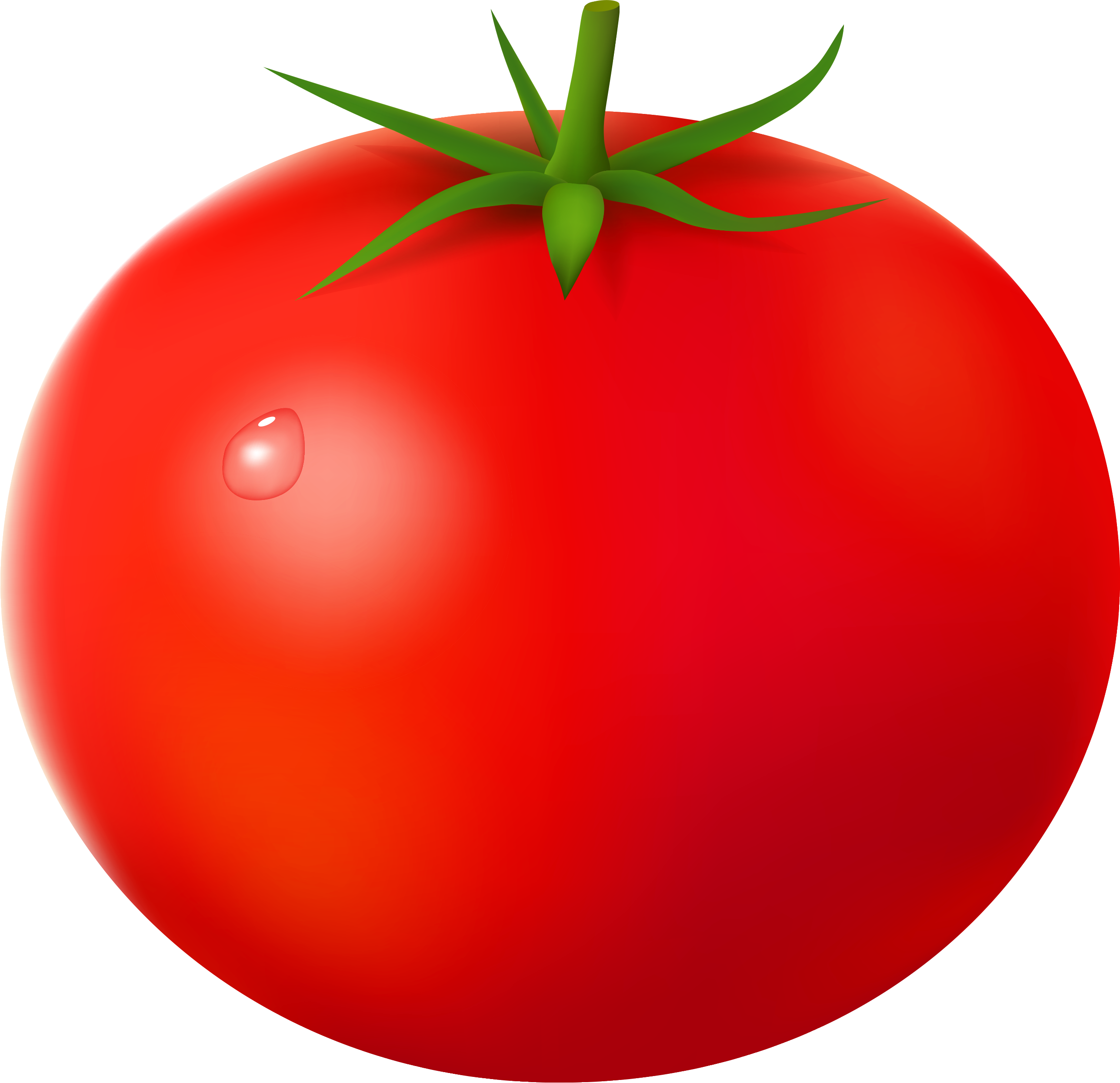 Tomato Png - Tomato, Transparent background PNG HD thumbnail