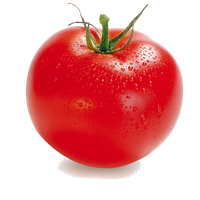 Tomato Png Clipart Png Image - Tomato, Transparent background PNG HD thumbnail