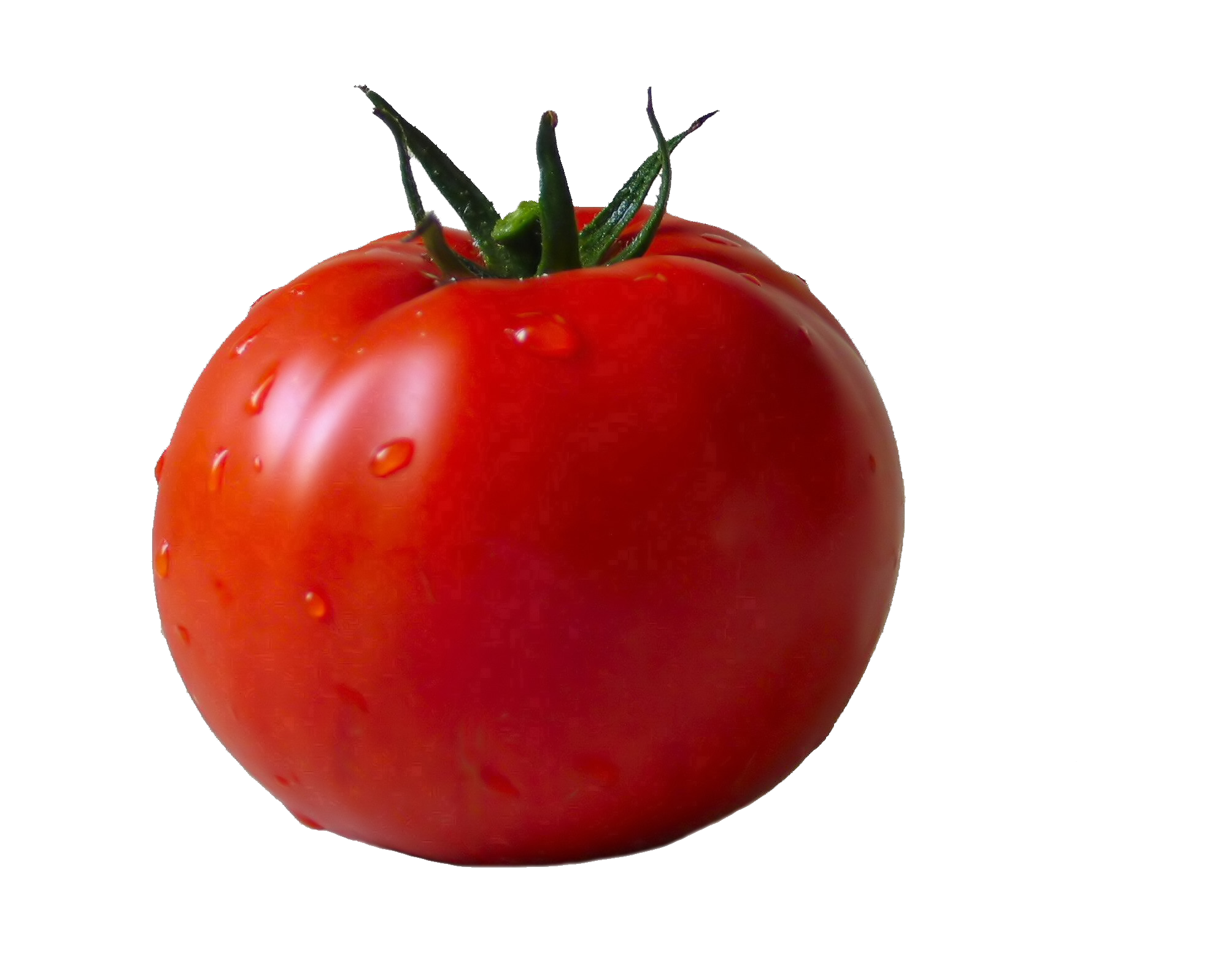 Tomato Png, Image, Picture   Tomato Hd Png - Tomato, Transparent background PNG HD thumbnail