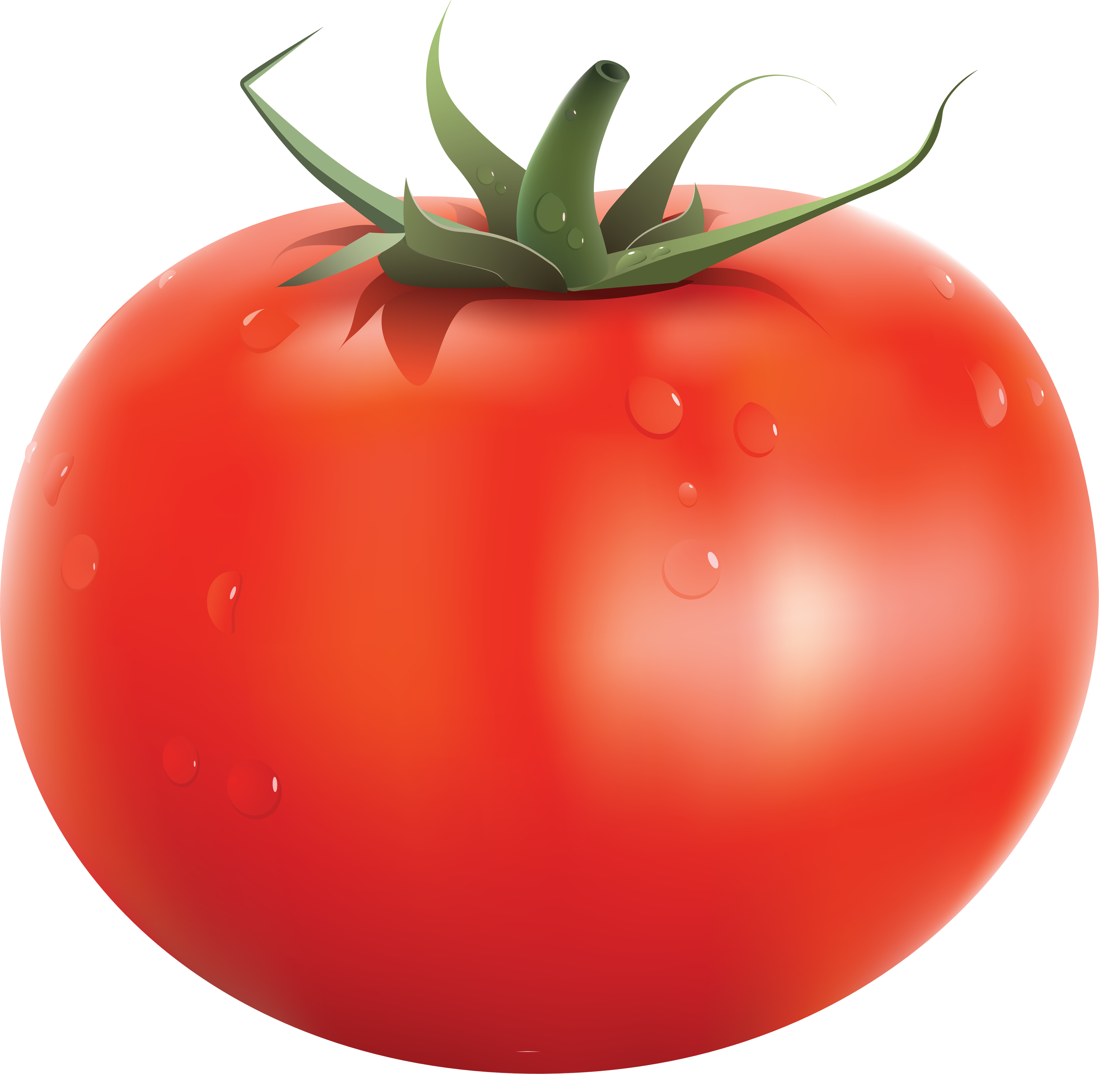 Tomato Png   Png Tomato - Tomato, Transparent background PNG HD thumbnail