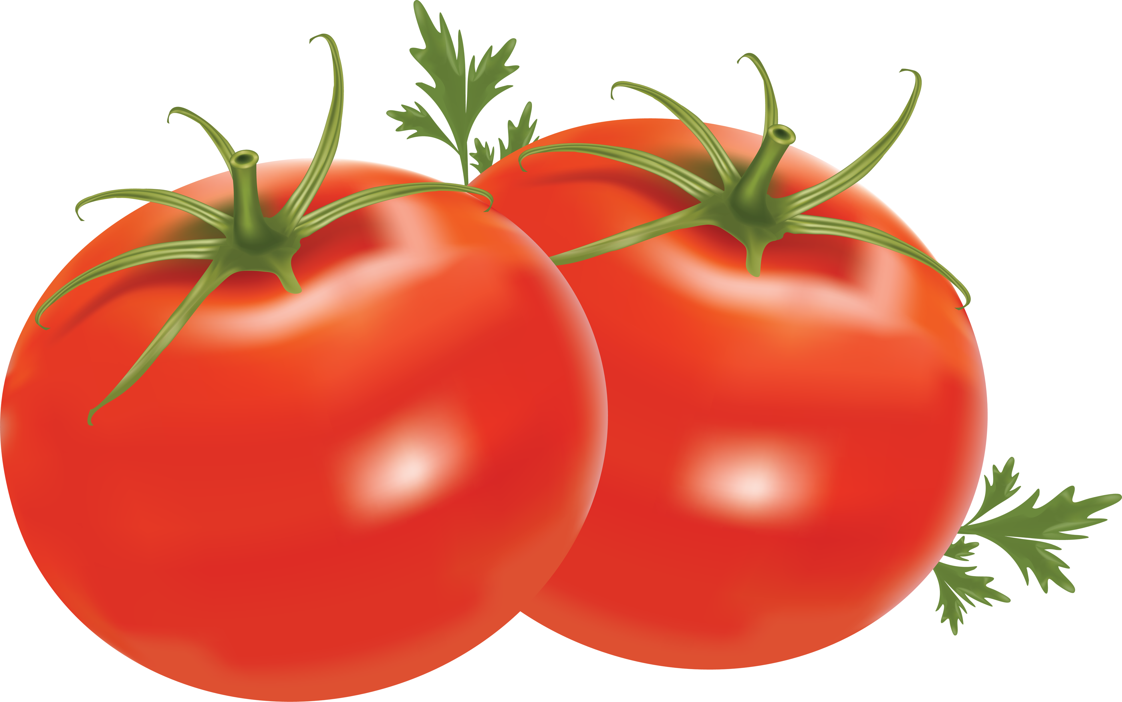 Two Juicy Tomato PNG image