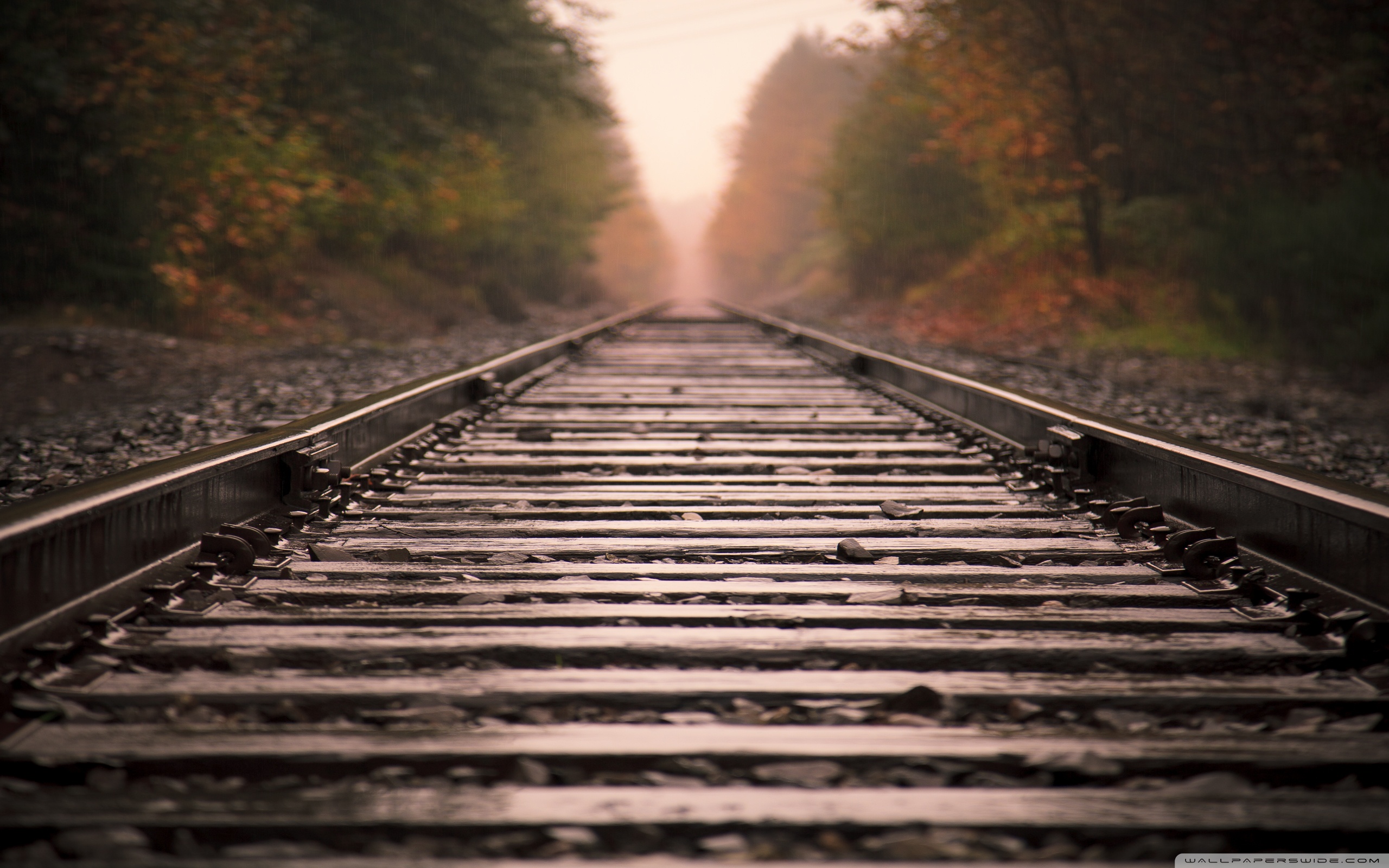 Wide Hdpng.com  - Train Track, Transparent background PNG HD thumbnail