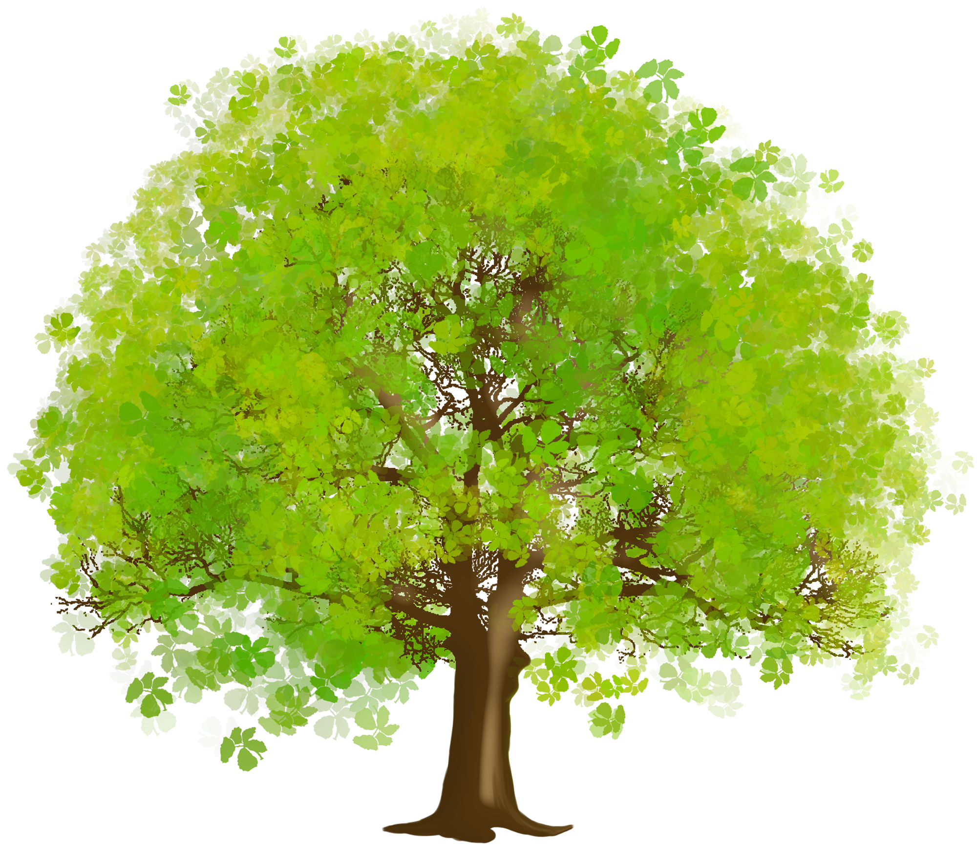 Large Green Tree Png Clipart - Tree Clipart, Transparent background PNG HD thumbnail