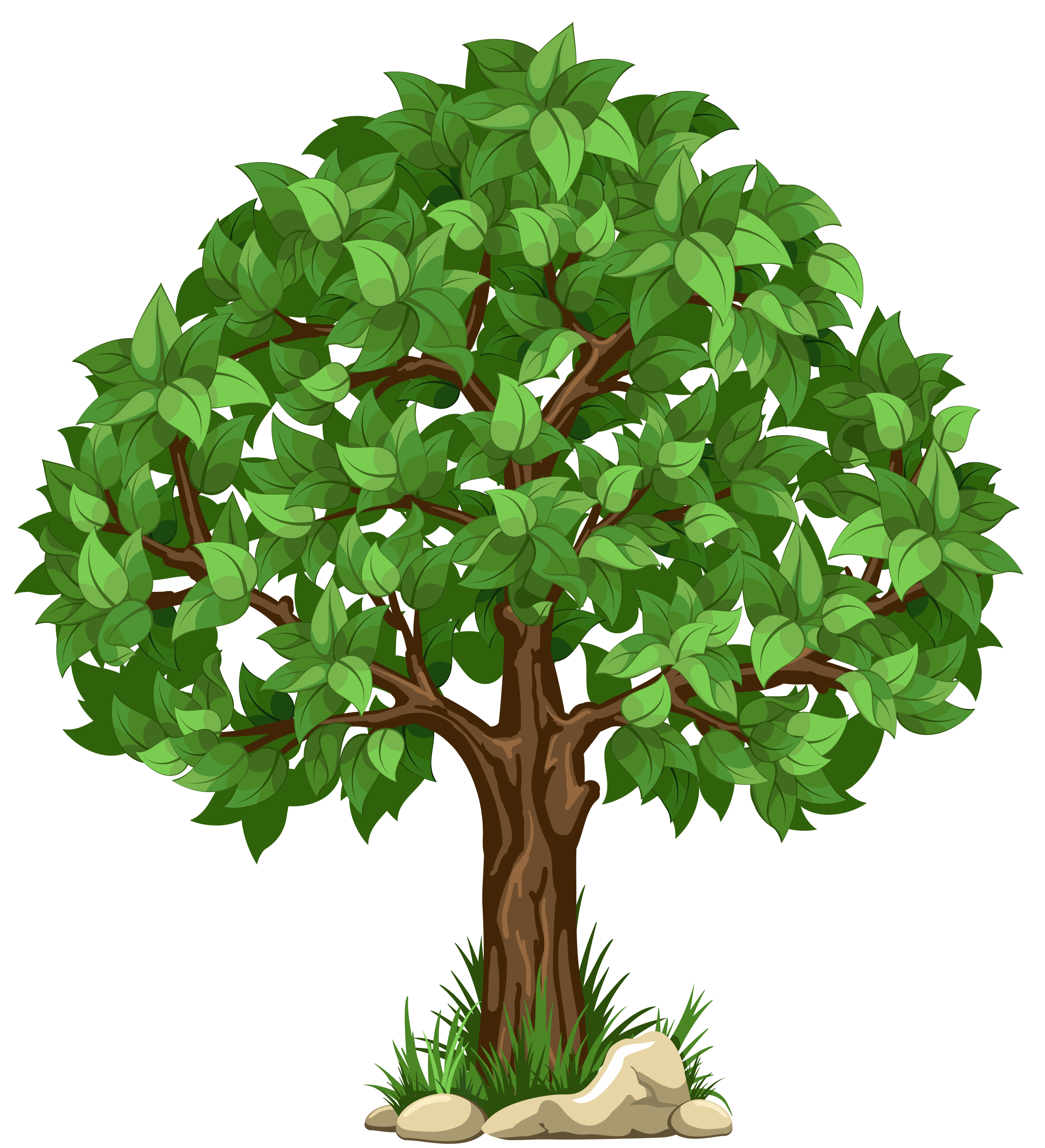 Tree Clip Art 3