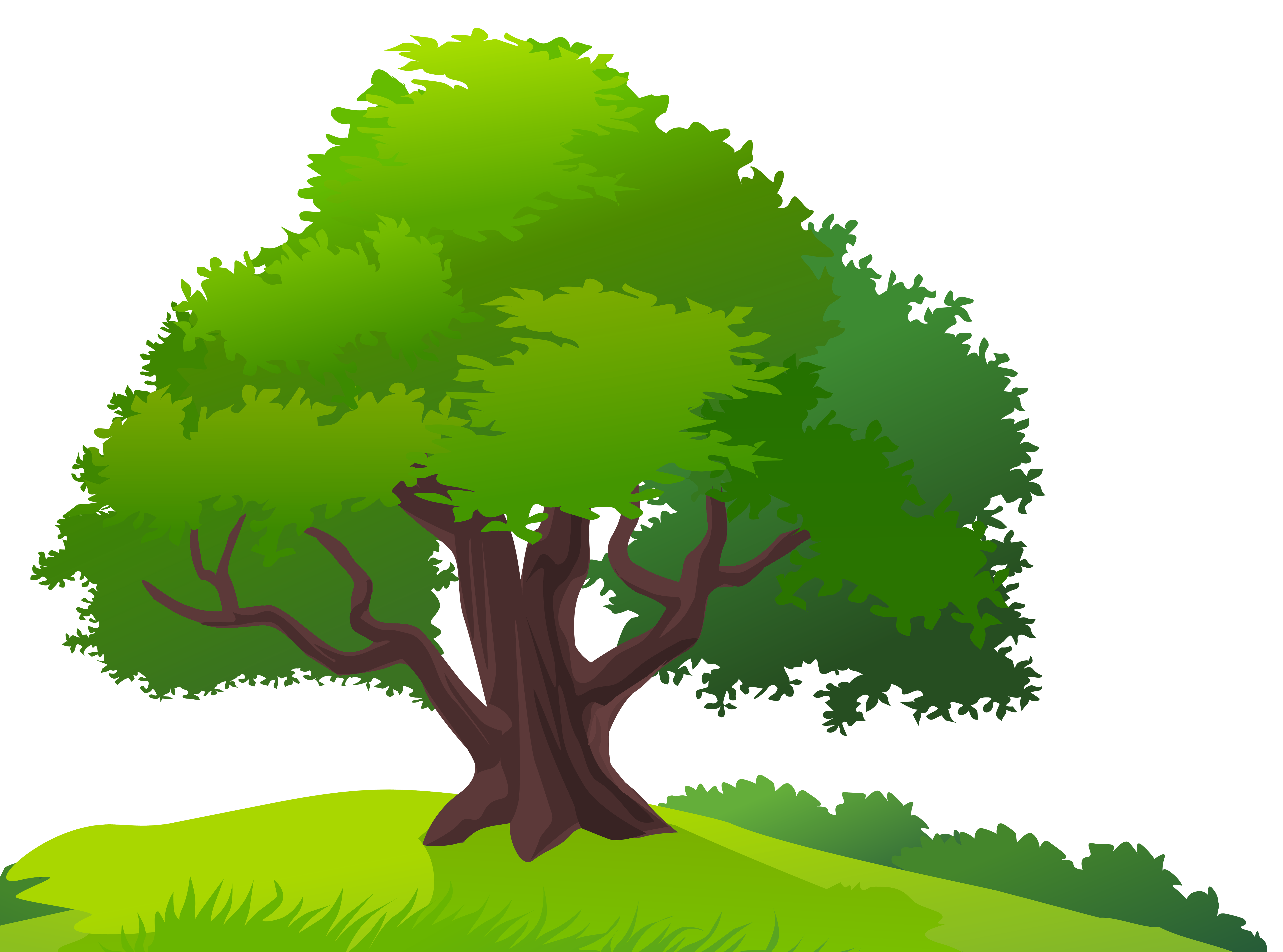 Tree Png Image Download Pictu