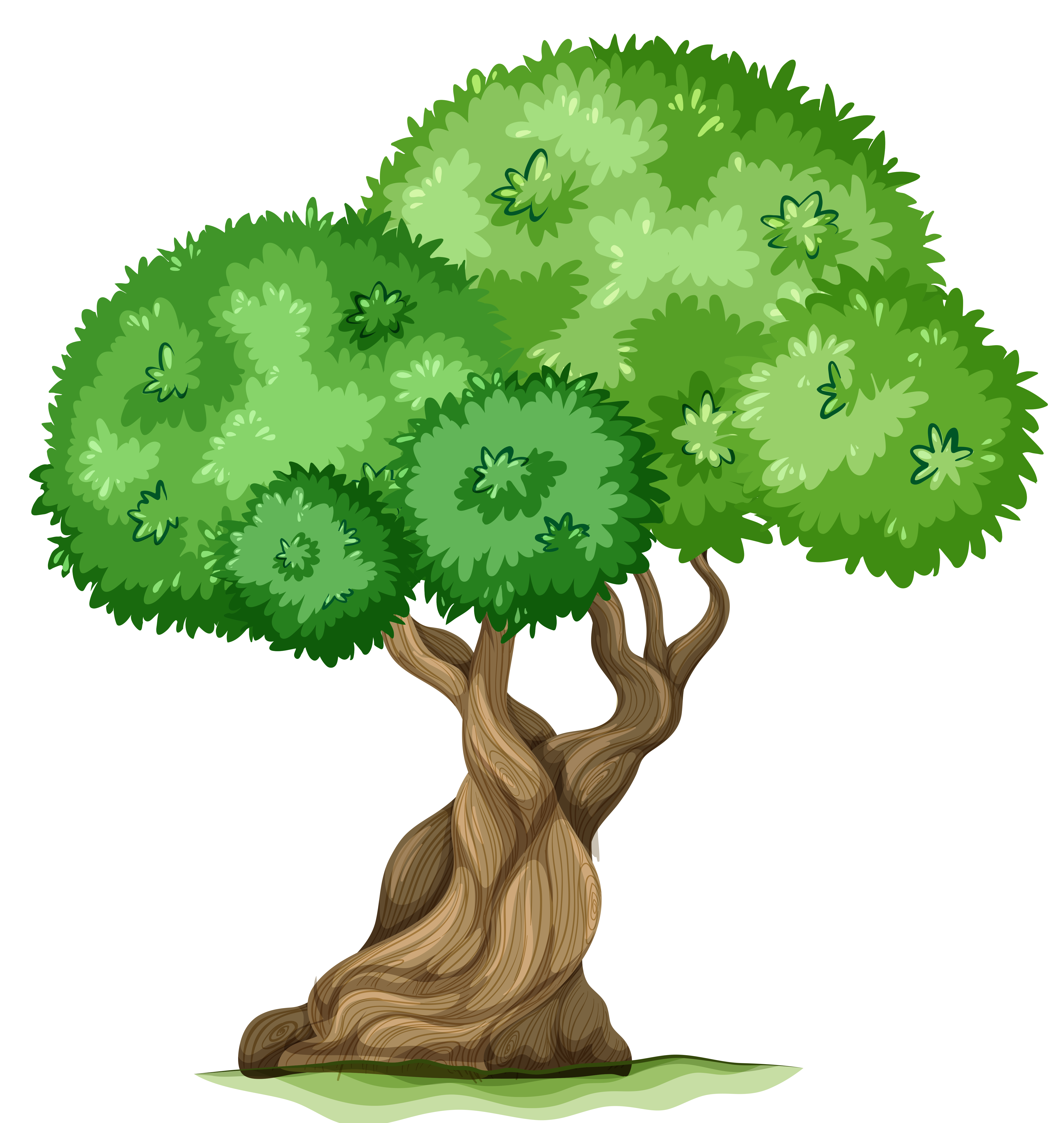 Tree Clip Art 60 - Tree Clipart, Transparent background PNG HD thumbnail