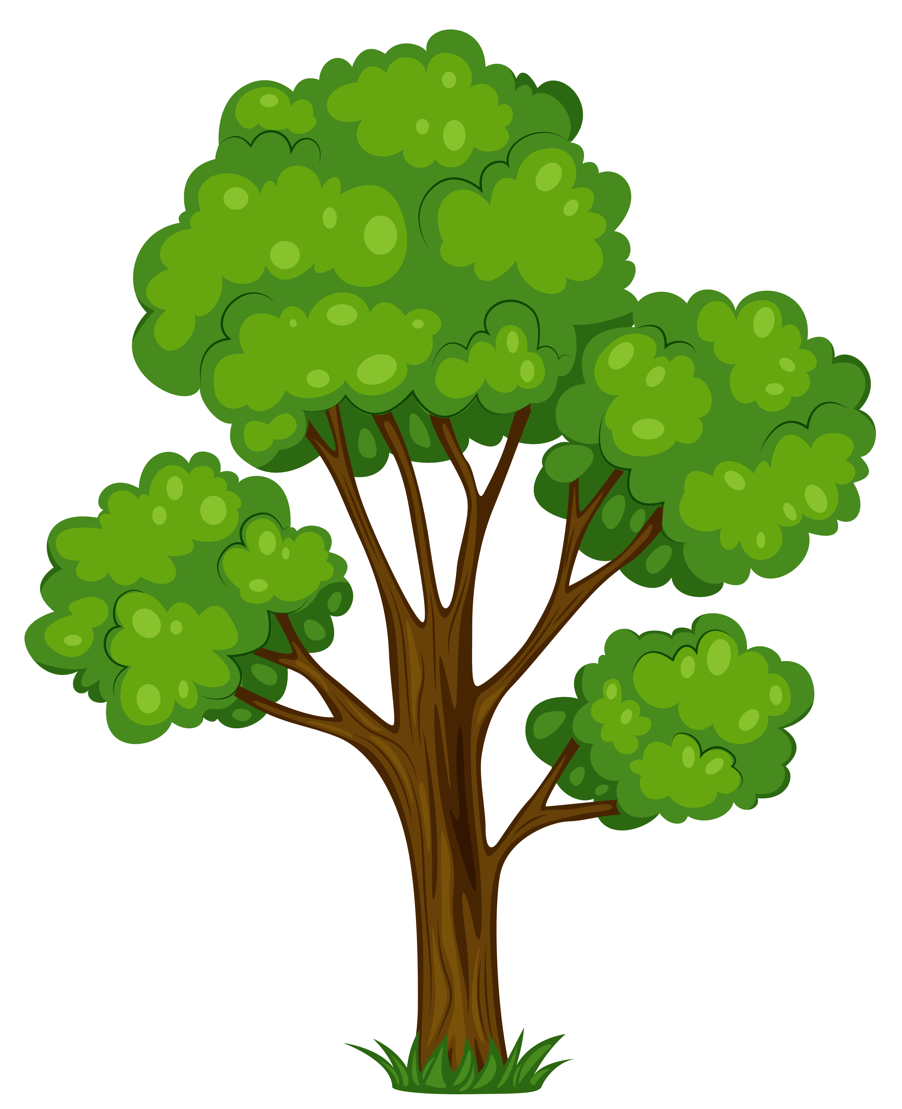 Tree and Grass PNG Clipart Im