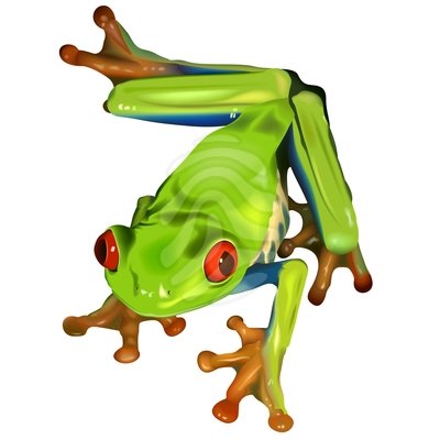 Tree Frog PNG Black And White - Clipart Info