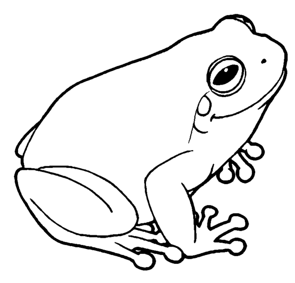 Tree Frog By Misterbug Hdpng.com  - Tree Frog Black And White, Transparent background PNG HD thumbnail