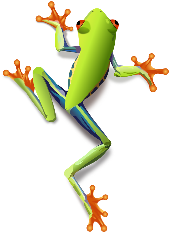 Tree Frog Clipart   /animals/f/frogs/tree_Frog/tree_Frog_Clipart.png.html - Tree Frog Black And White, Transparent background PNG HD thumbnail