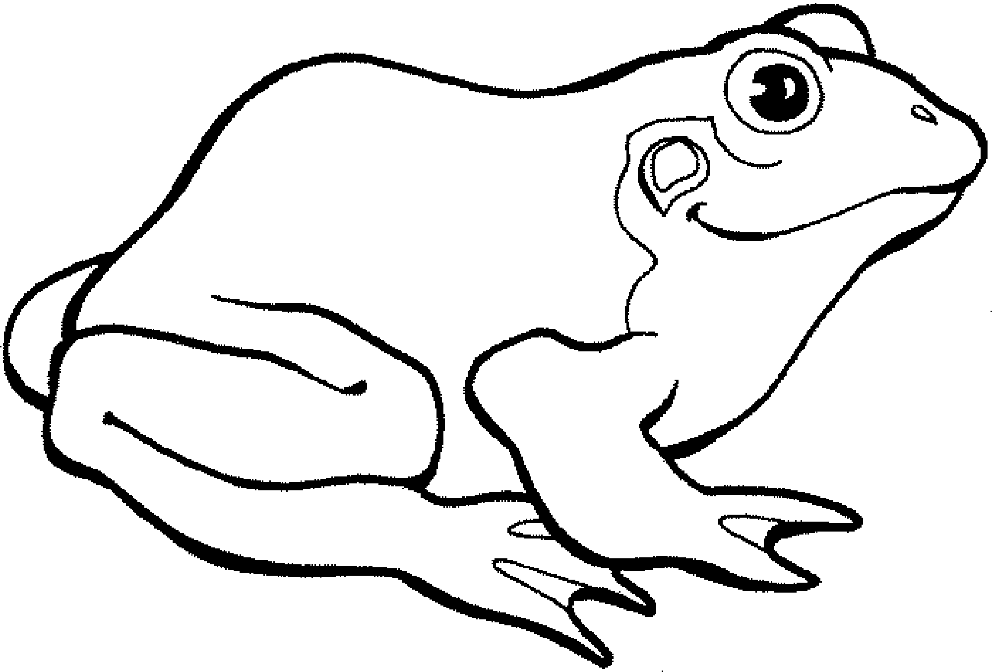 Tree Frog Coloring Page Frogs Pages Free Hdpng.com  - Tree Frog Black And White, Transparent background PNG HD thumbnail