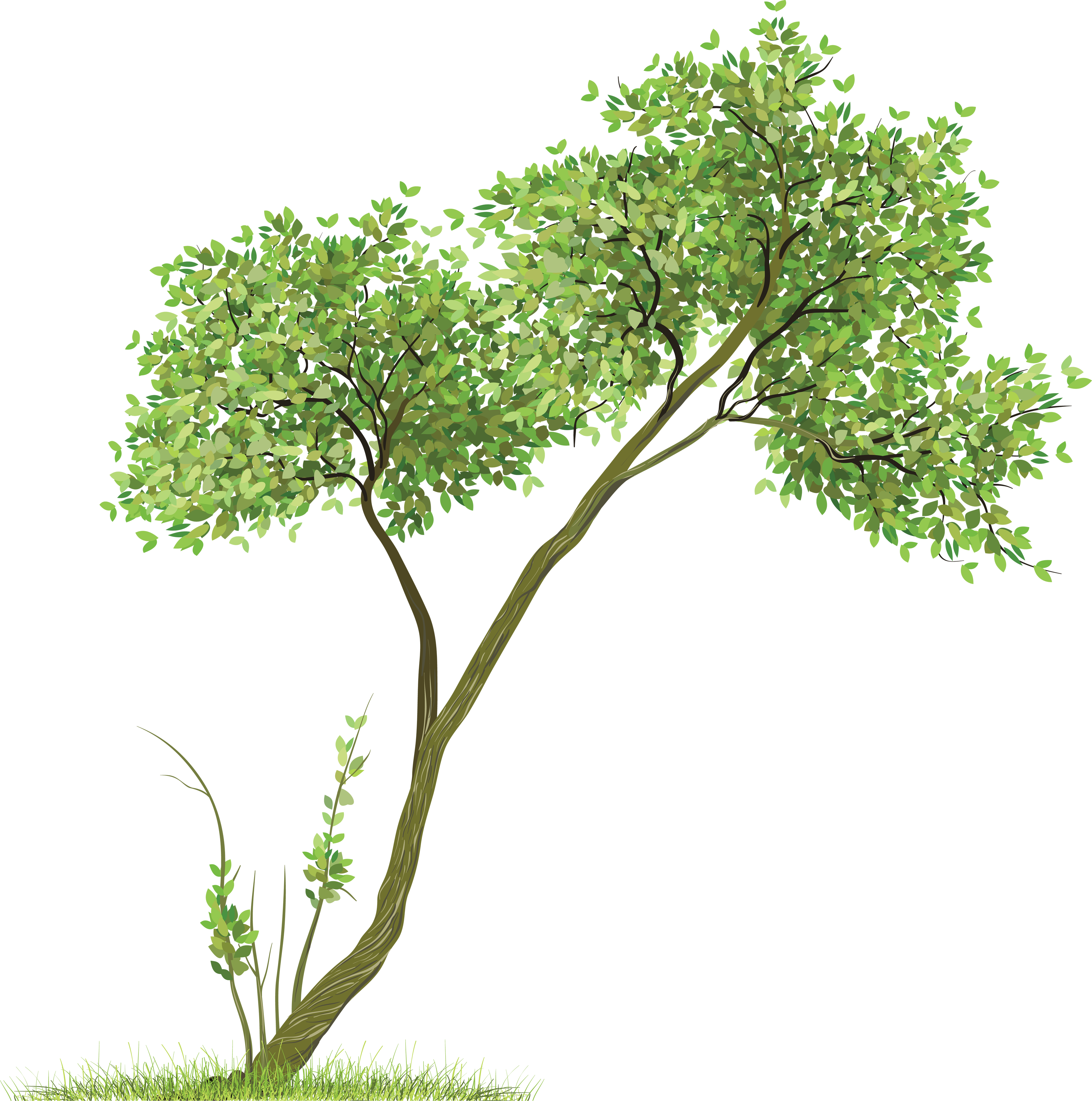 Tree Hdpng.com  - Tree Full Of Angels, Transparent background PNG HD thumbnail