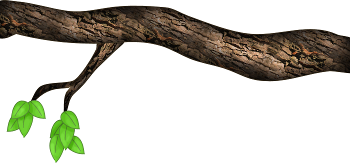 Treebranch 1.png Photo By Winterberry2 | Photobucket - Tree Limb, Transparent background PNG HD thumbnail
