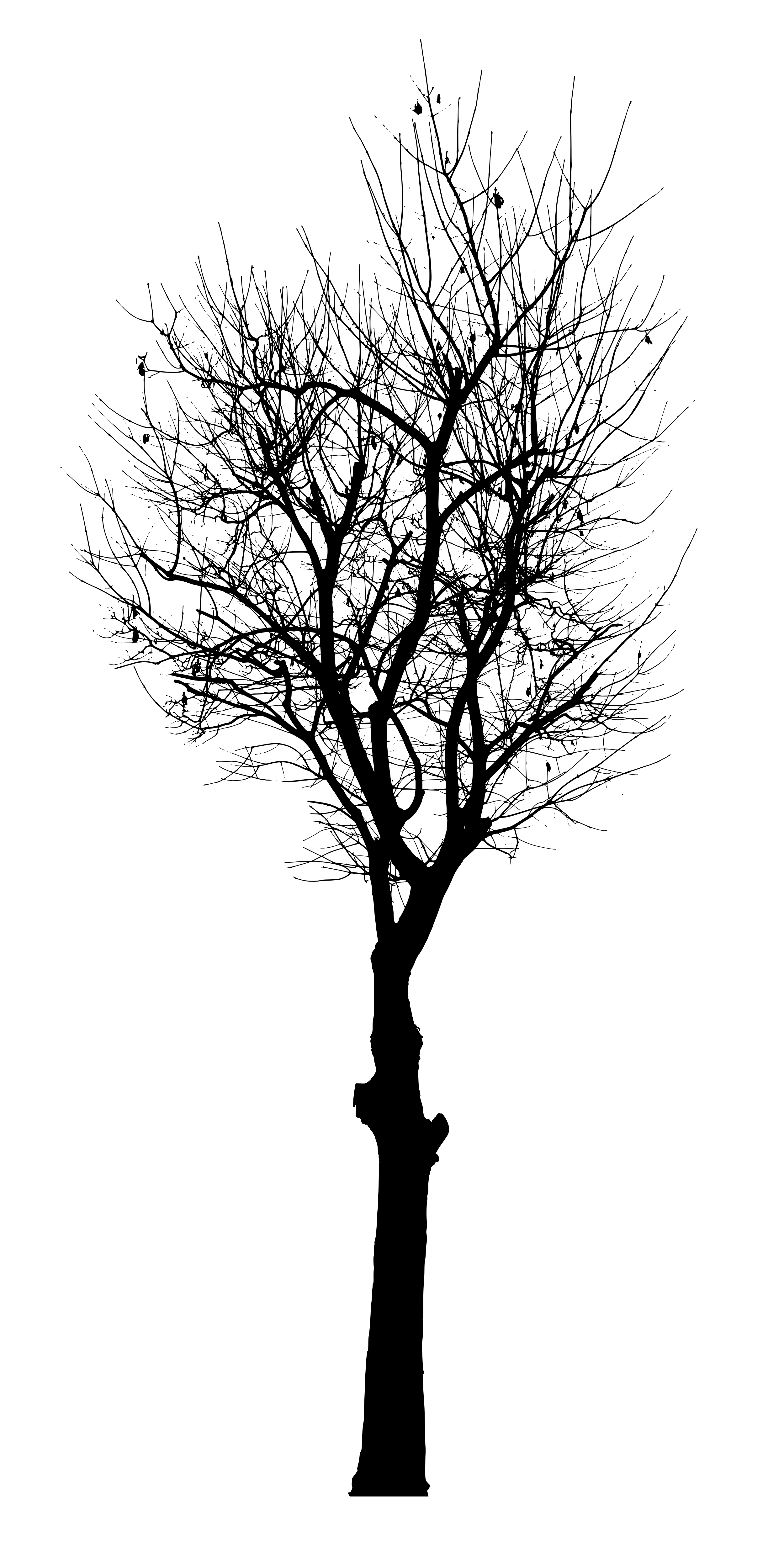 Free Download (Black Tree Vector.png) - Tree Vector, Transparent background PNG HD thumbnail