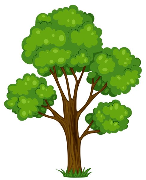 Painted Green Tree Png Clipart Picture - Tree Vector, Transparent background PNG HD thumbnail