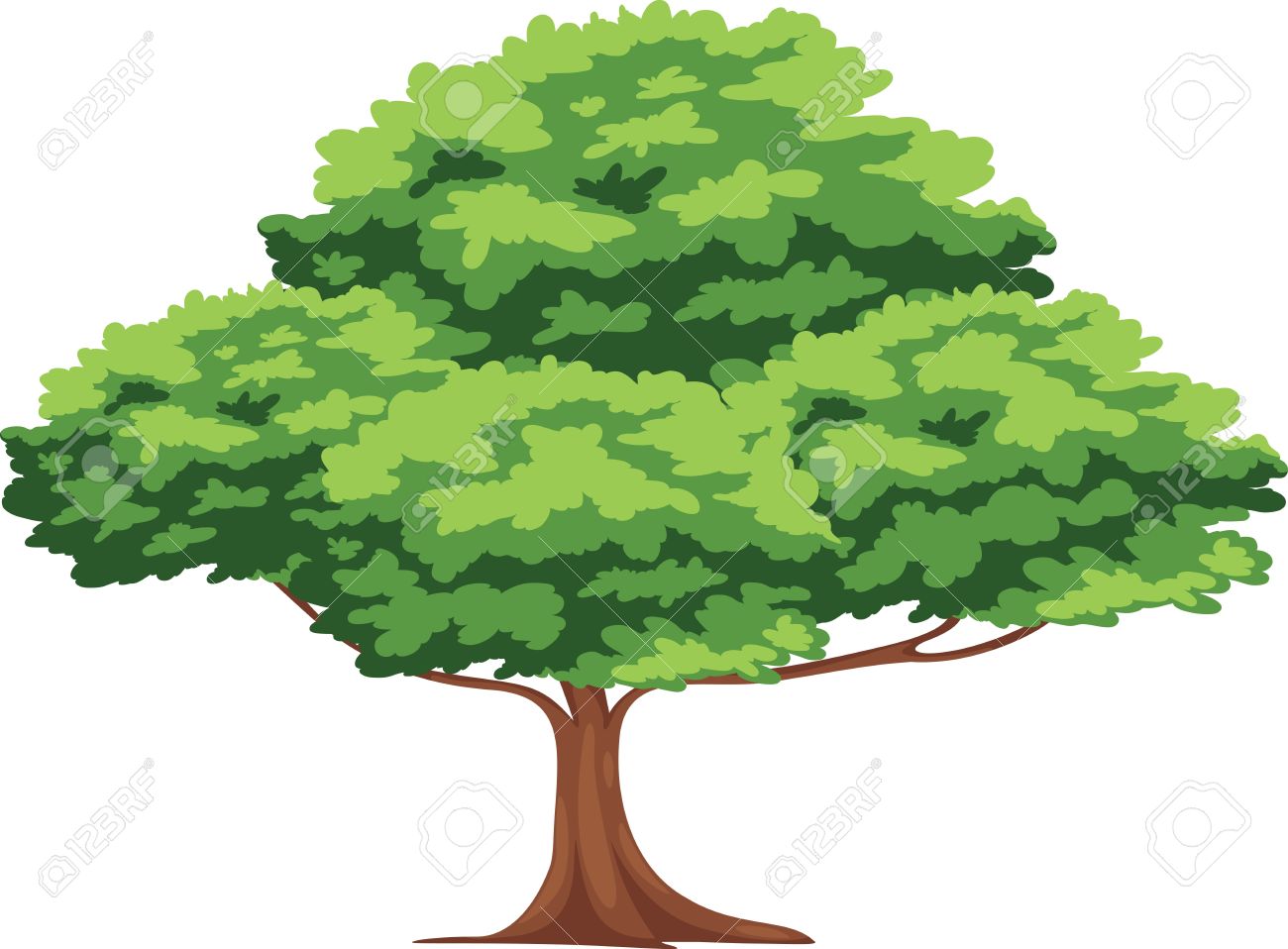 Tree Royalty Free Vector Hdpng.com  - Tree Vector, Transparent background PNG HD thumbnail