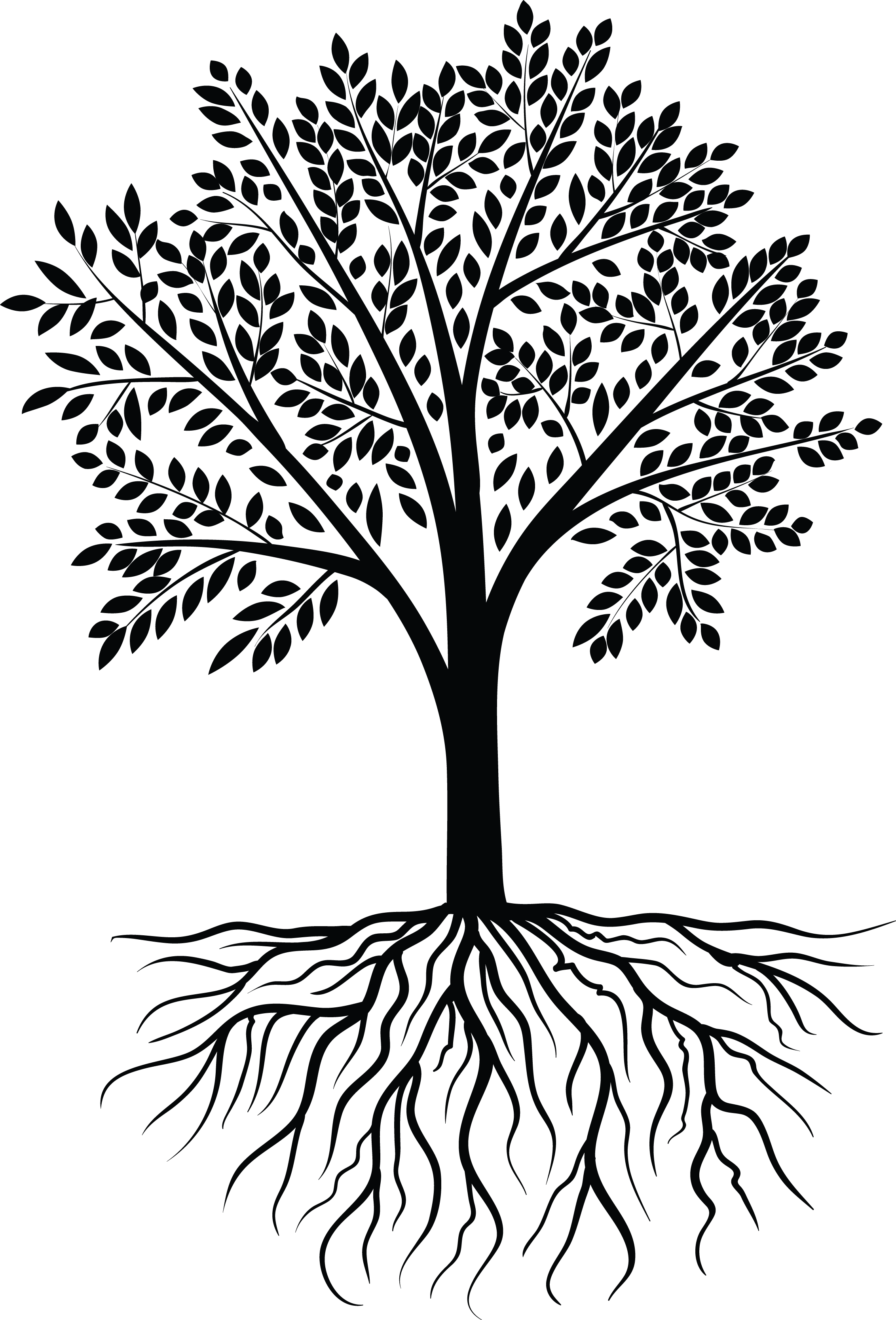 Tree Vector Black White - Tree Vector, Transparent background PNG HD thumbnail