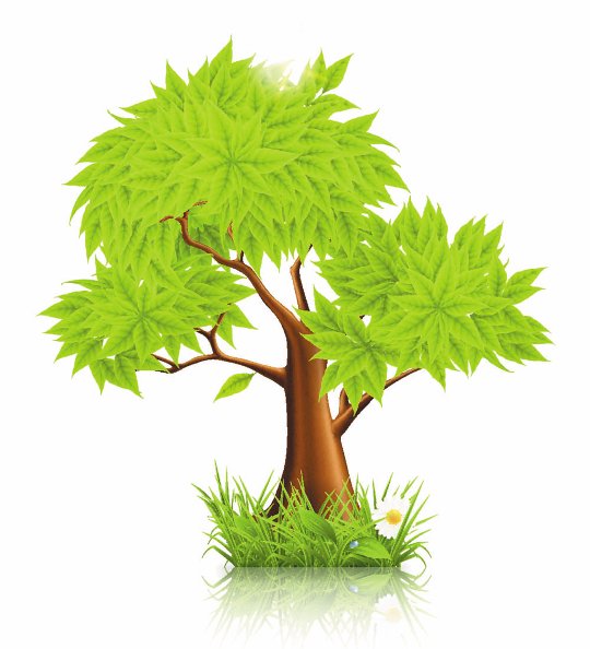 Vector Tree - Tree Vector, Transparent background PNG HD thumbnail