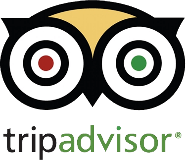 Tripadvisor logotype free ico