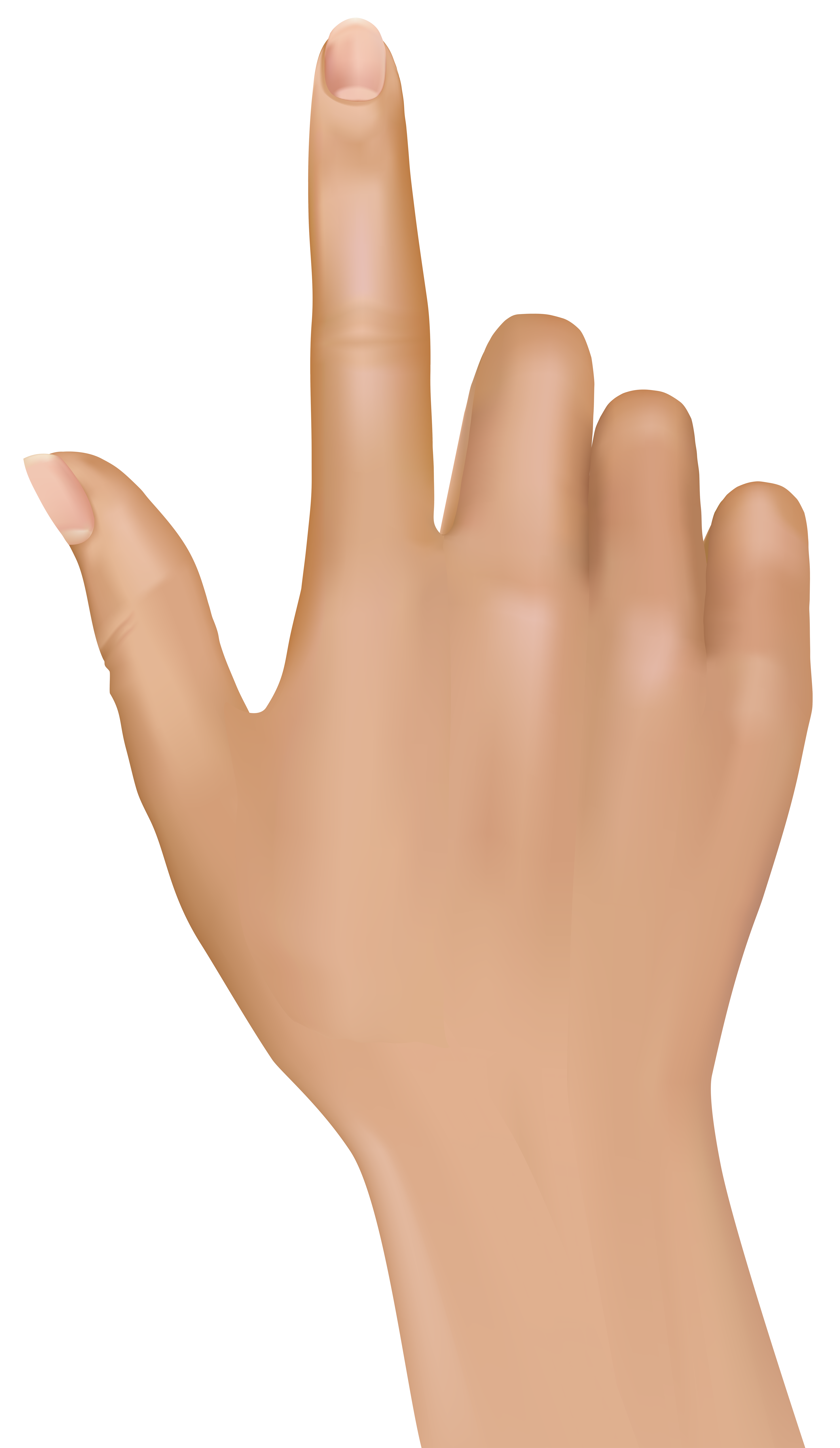 Tuching Finger Hand Png Clipart Image #43085 - Finger, Transparent background PNG HD thumbnail