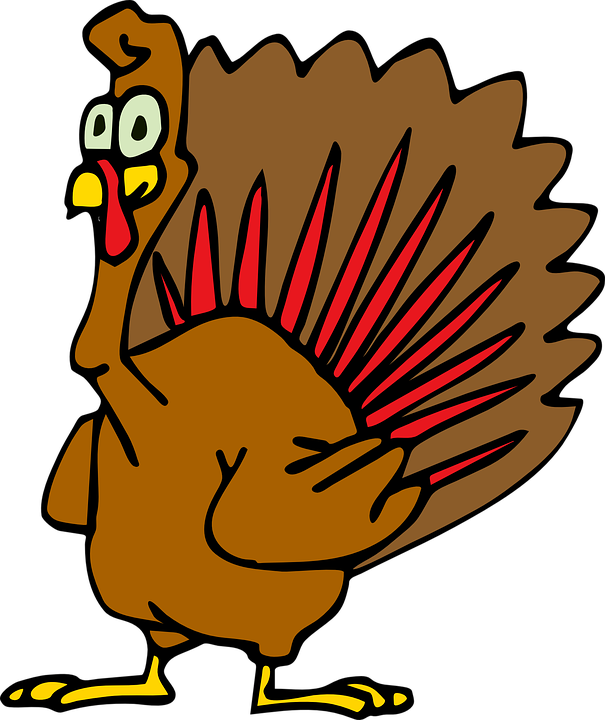 Turkey Bird Png - Turkey Bird Feathers Thanksgiving, Transparent background PNG HD thumbnail