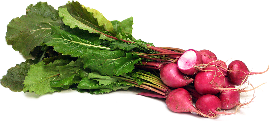 Baby Pink Turnips, Brassica Rapa, Are Members Of The Crucifera Family. The Exterior Color Of The Root Is Magenta Pink While The Flesh Is Variegated With Hdpng.com  - Turnip, Transparent background PNG HD thumbnail