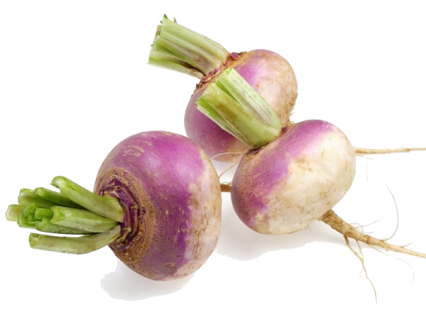 Home / Vegetables - Turnip, Transparent background PNG HD thumbnail