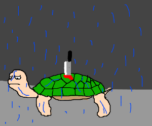 Turtle In Rain With A Knife On Its Back - Turtle On Its Back, Transparent background PNG HD thumbnail
