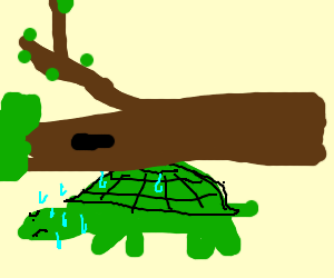 Turtle On Its Back Png - Turtle Struggles To Carry The Tree On Its Back, Transparent background PNG HD thumbnail
