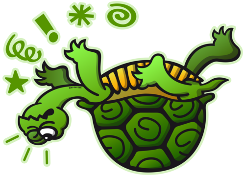Turtle On Its Back Png - Upside Down Turtle Png Trans Back, Transparent background PNG HD thumbnail