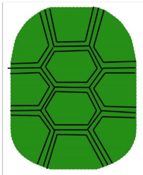 Picture Of Batting - Turtle Shell, Transparent background PNG HD thumbnail