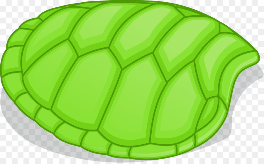 Turtle Shell Clip Art   Tortoide - Turtle Shell, Transparent background PNG HD thumbnail