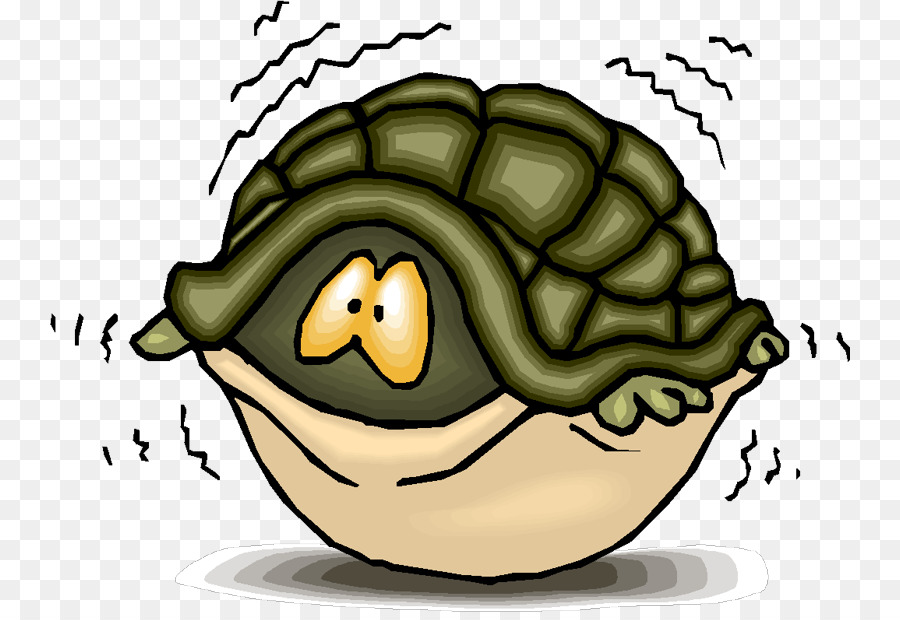 Turtle Shell Sea Turtle Clip Art   Fear - Turtle Shell, Transparent background PNG HD thumbnail
