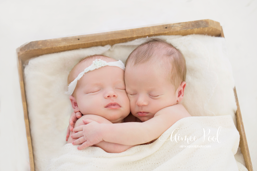 newborn boy twins! 19 day old