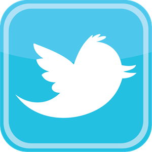 Twitter Bird Icon Logo Vector - Twitter Vector, Transparent background PNG HD thumbnail