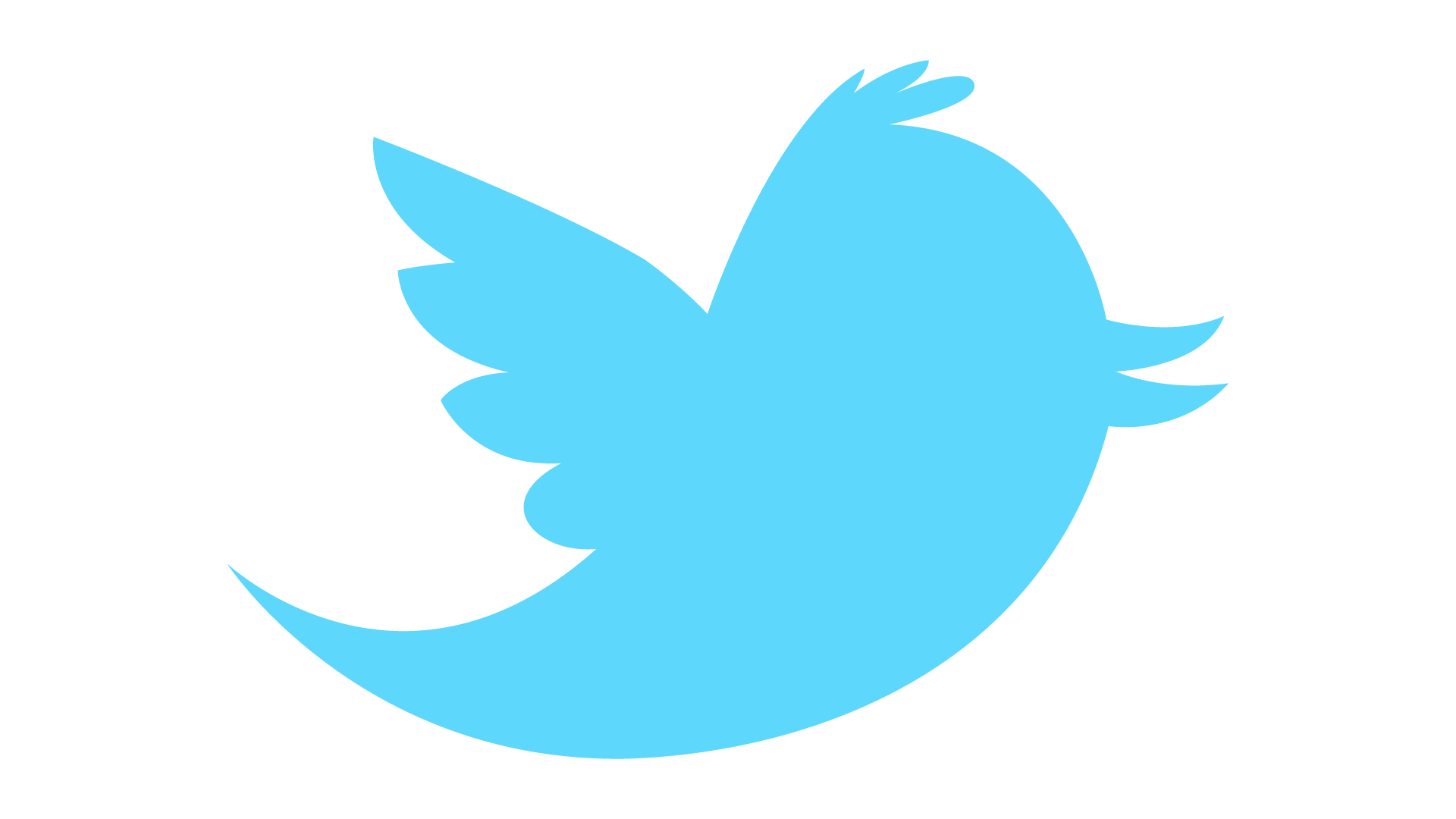 Twitter High-Quality Png PNG 
