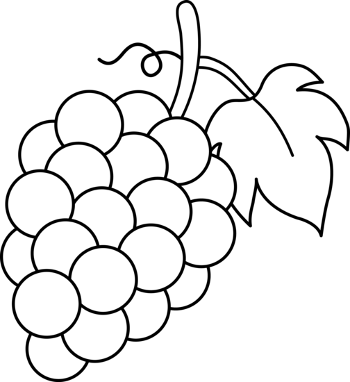 Fruit - Ubas Black And White, Transparent background PNG HD thumbnail