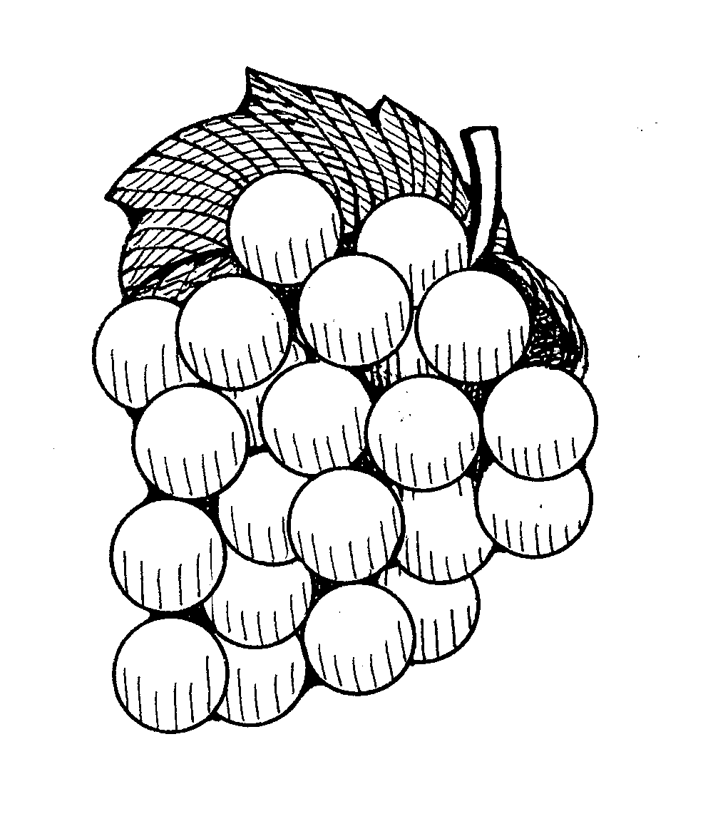 Outline Of Grapes - Ubas Black And White, Transparent background PNG HD thumbnail