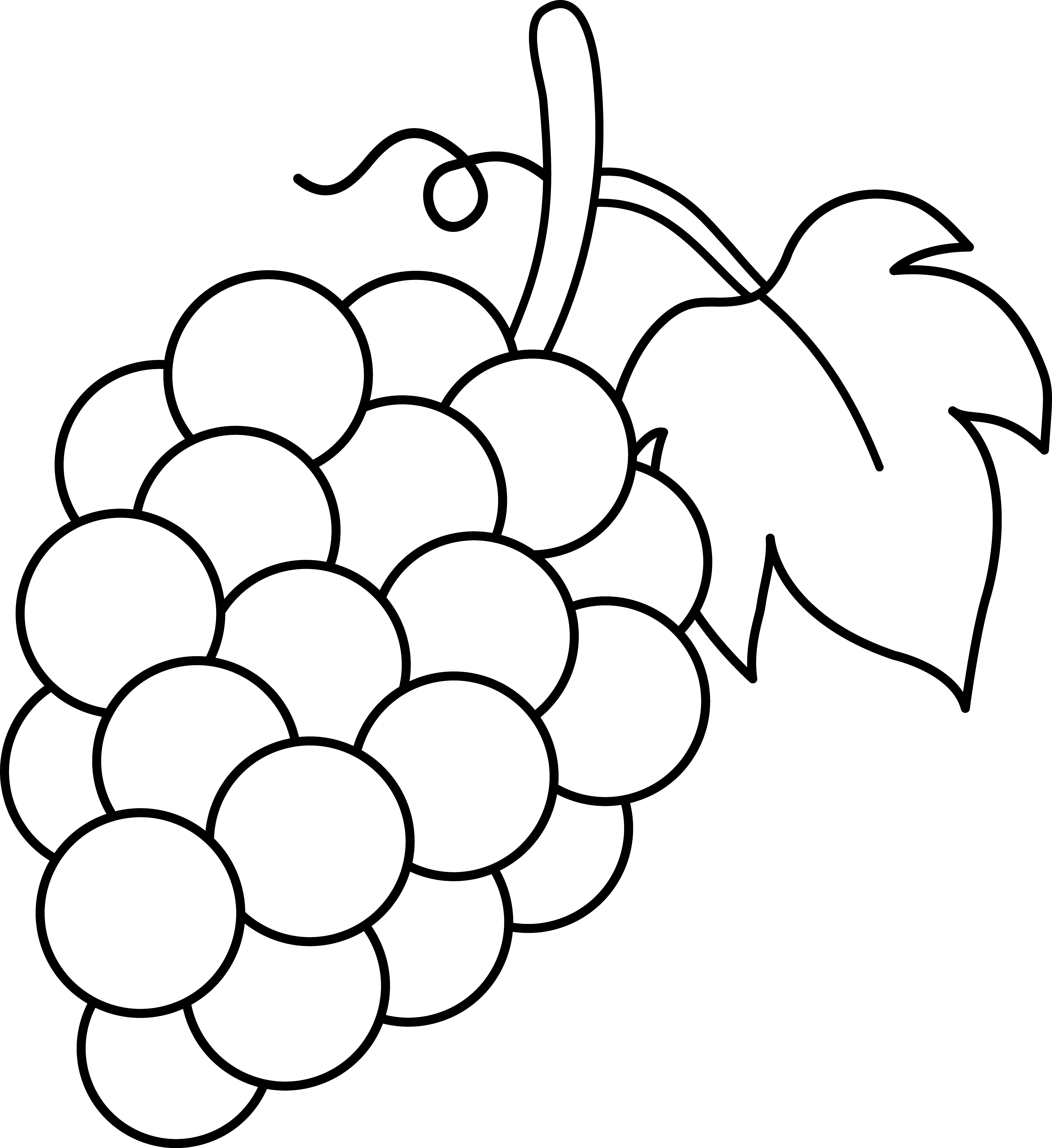 White Grapes Cliparts · Grape Clipart Png - Ubas Black And White, Transparent background PNG HD thumbnail