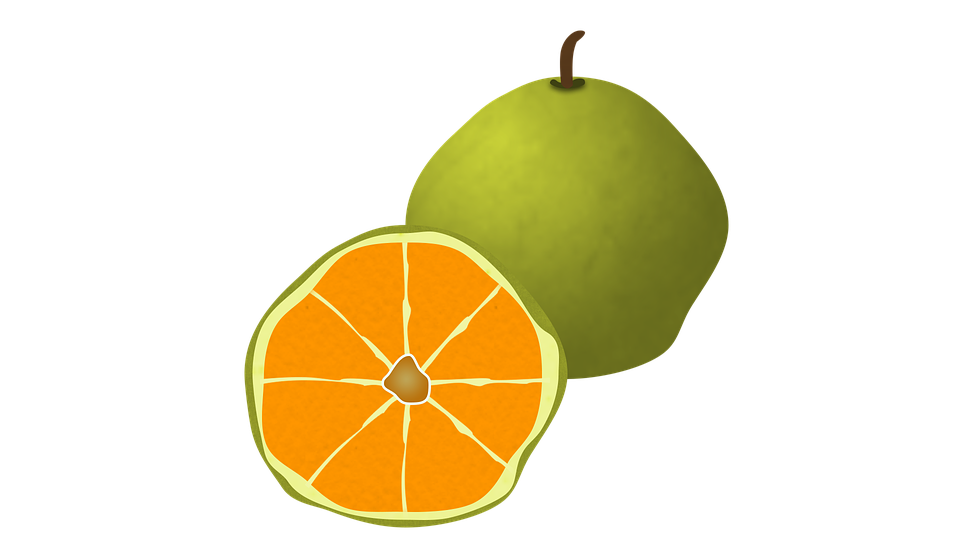 Ugli Fruit Fruit Citrus Organic Juicy Orange - Ugli Fruit, Transparent background PNG HD thumbnail