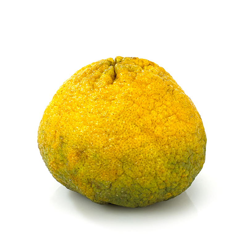 Vega Uglyfruit - Ugli Fruit, Transparent background PNG HD thumbnail