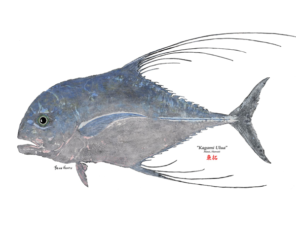 Maui Fish Printing Jack Kagami Ulua Carangidae - Ulua Fish, Transparent background PNG HD thumbnail