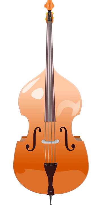 Double Bass Stringed Instrument Musical Instrument - Upright Bass, Transparent background PNG HD thumbnail