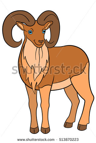 Cute Beautiful Urial Stands And Smiles. - Urial, Transparent background PNG HD thumbnail