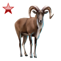 File:huge Item Urial Ruby 01.png - Urial, Transparent background PNG HD thumbnail