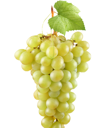 Beat The Record! - Uvas, Transparent background PNG HD thumbnail